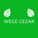 Lunch w Wege Cezar